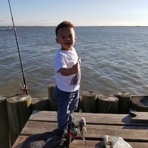 Meet your Posher, Dario